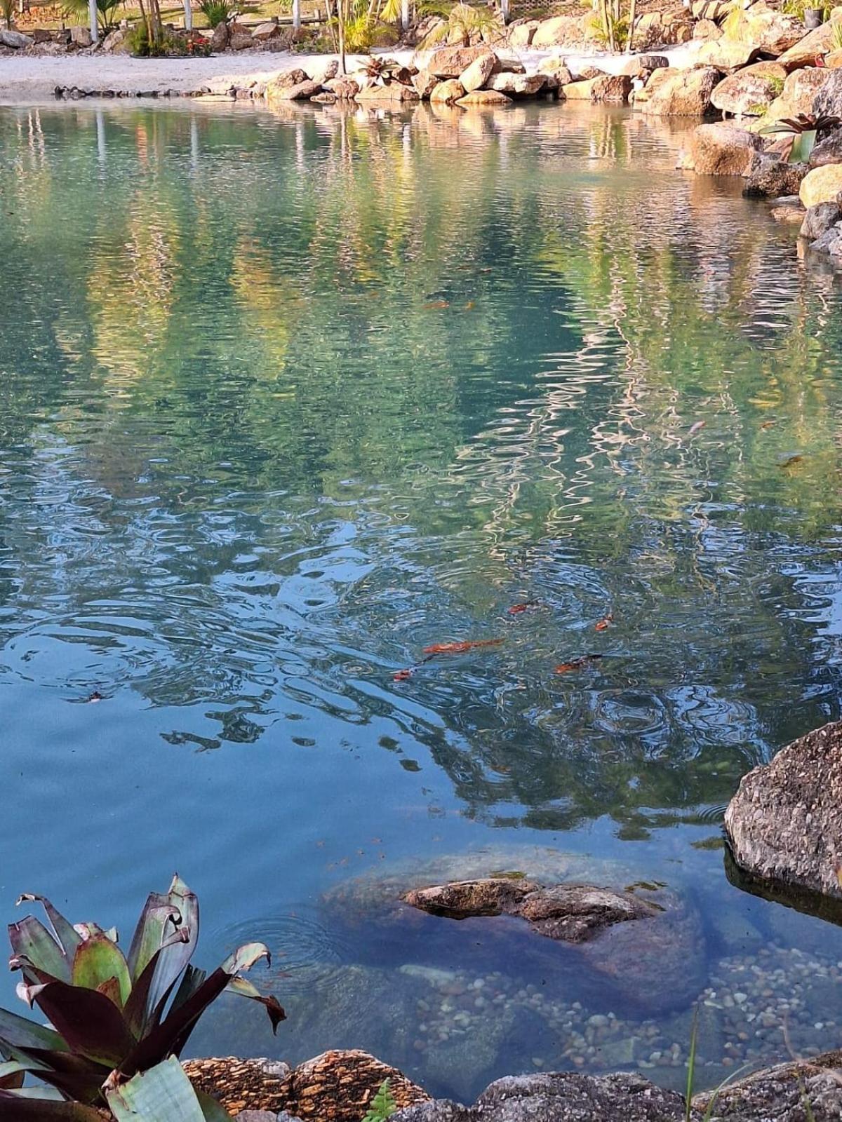 Fazenda Gamela Eco Resort Cantagalo  Bagian luar foto